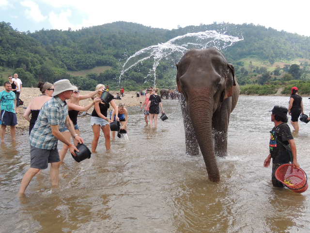 Elephant Nature Park bathing